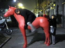 10 0128 cavallo rosso