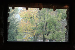 09 1115 MTPN reality