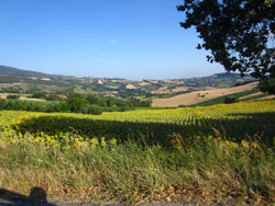 12 0711 le colline del Conero con il cuore che sogna