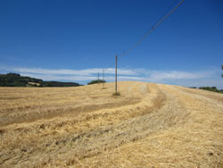 12 0713 campi al Conero