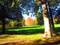 12 1107 i colori dell'autunno