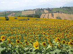 13 0716 soldatini abruzzesi