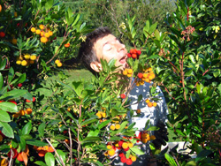 08 1019 ghiotto di corbezzoli
